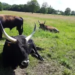 't Vosseven Stramproy