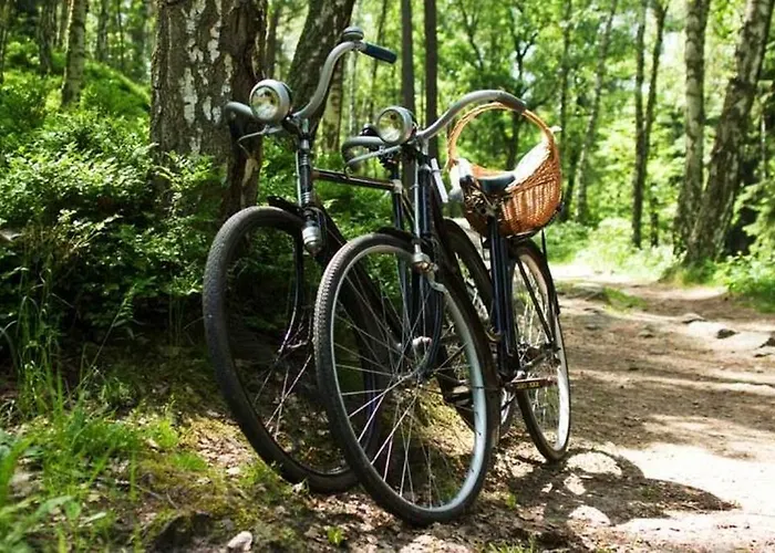 Holiday home 'T Vosseven Vakantiehuizen