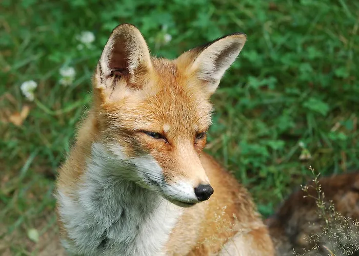 Vakantiehuis 't Vosseven *