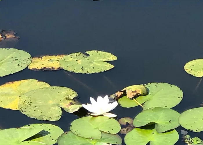 't Vosseven Vakantiehuis